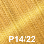 Color-P14-22