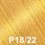 Color-P18-22