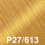 Color-P27-613