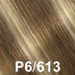 Color-P6-613