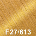 Color-F27-613